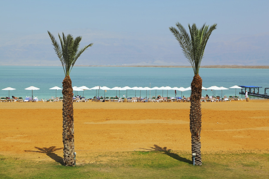 Palms at Eilat beach, Israel