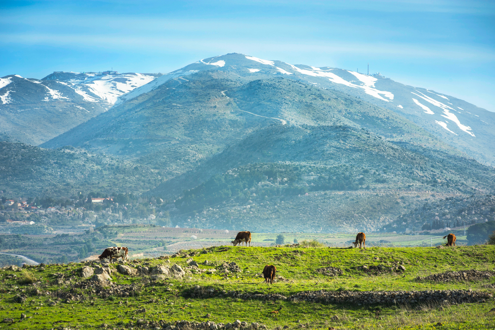 Peaceful landscape of Golan Heights