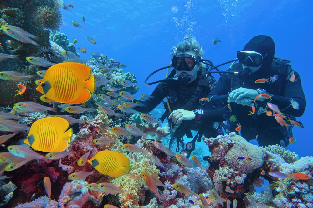 One of the Must-Do Activities in Aqaba - Scuba Diving