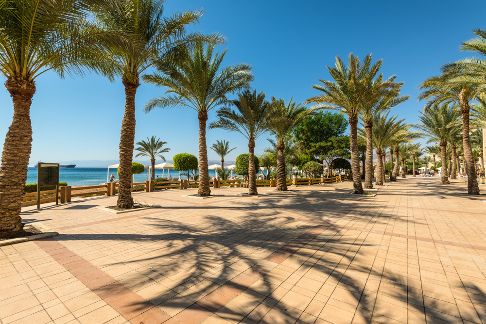 Palm trees near the beach on the Red Sea in the Gulf of Aqaba