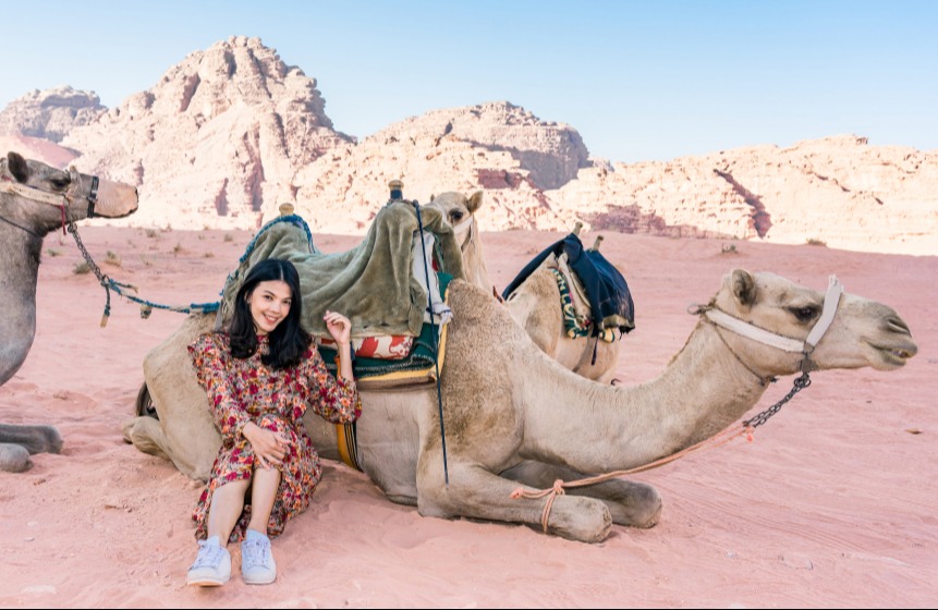 Camel Riding in the Middle East-  Camels resting in Wadi Rum, Jordan