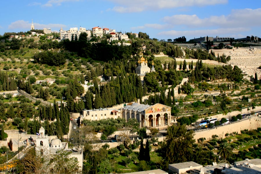 Mount of Olives with the Church of all Nations, Jerusalem