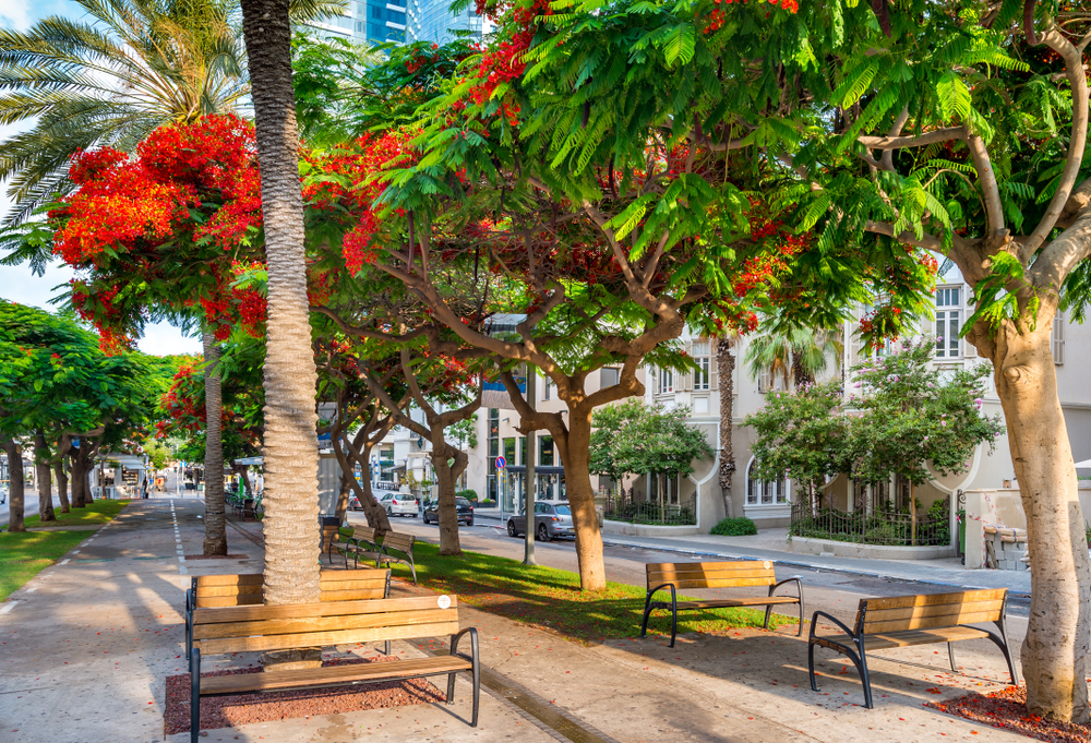 Rothschild Boulevard, Tel Aviv